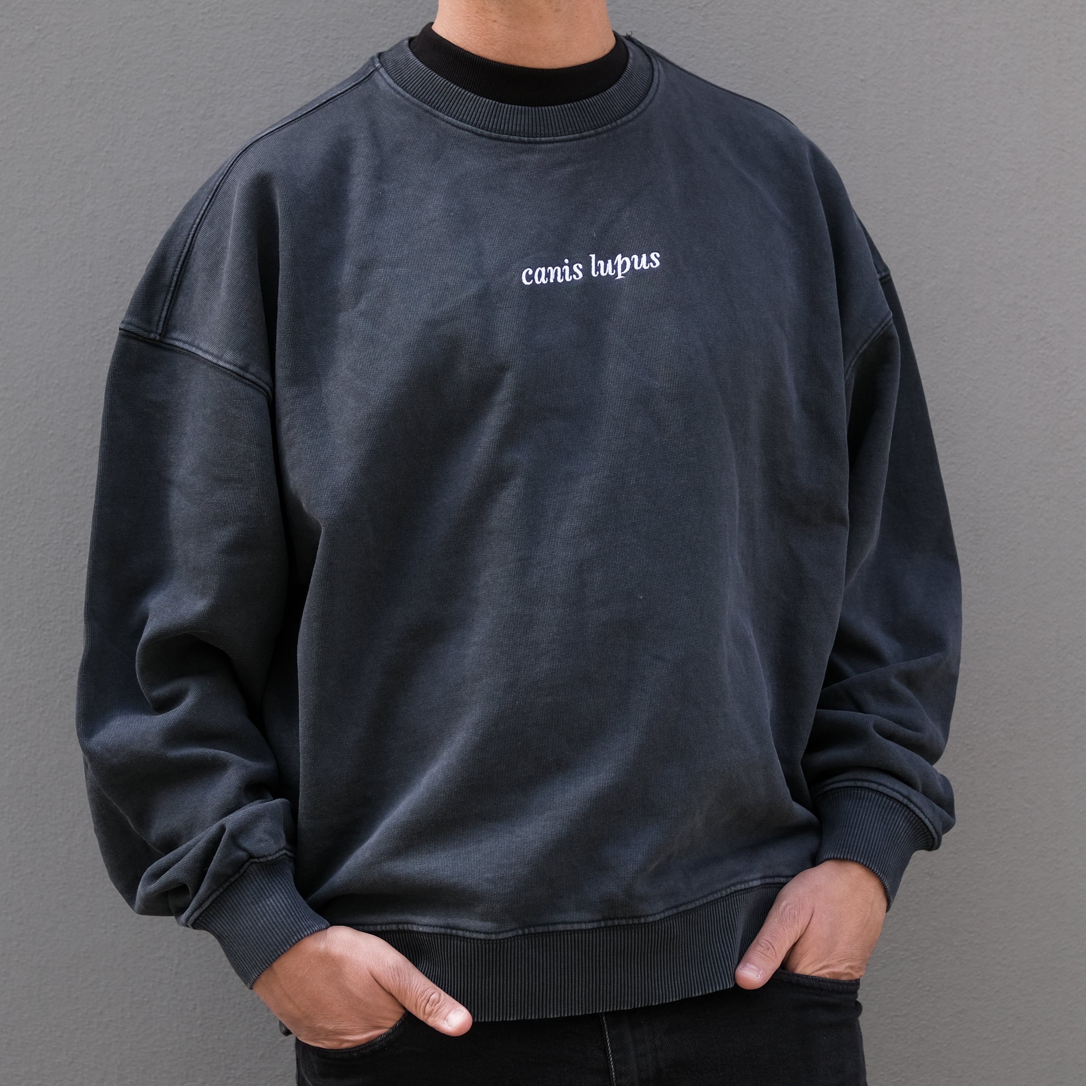 Genser ulv - canis lupus