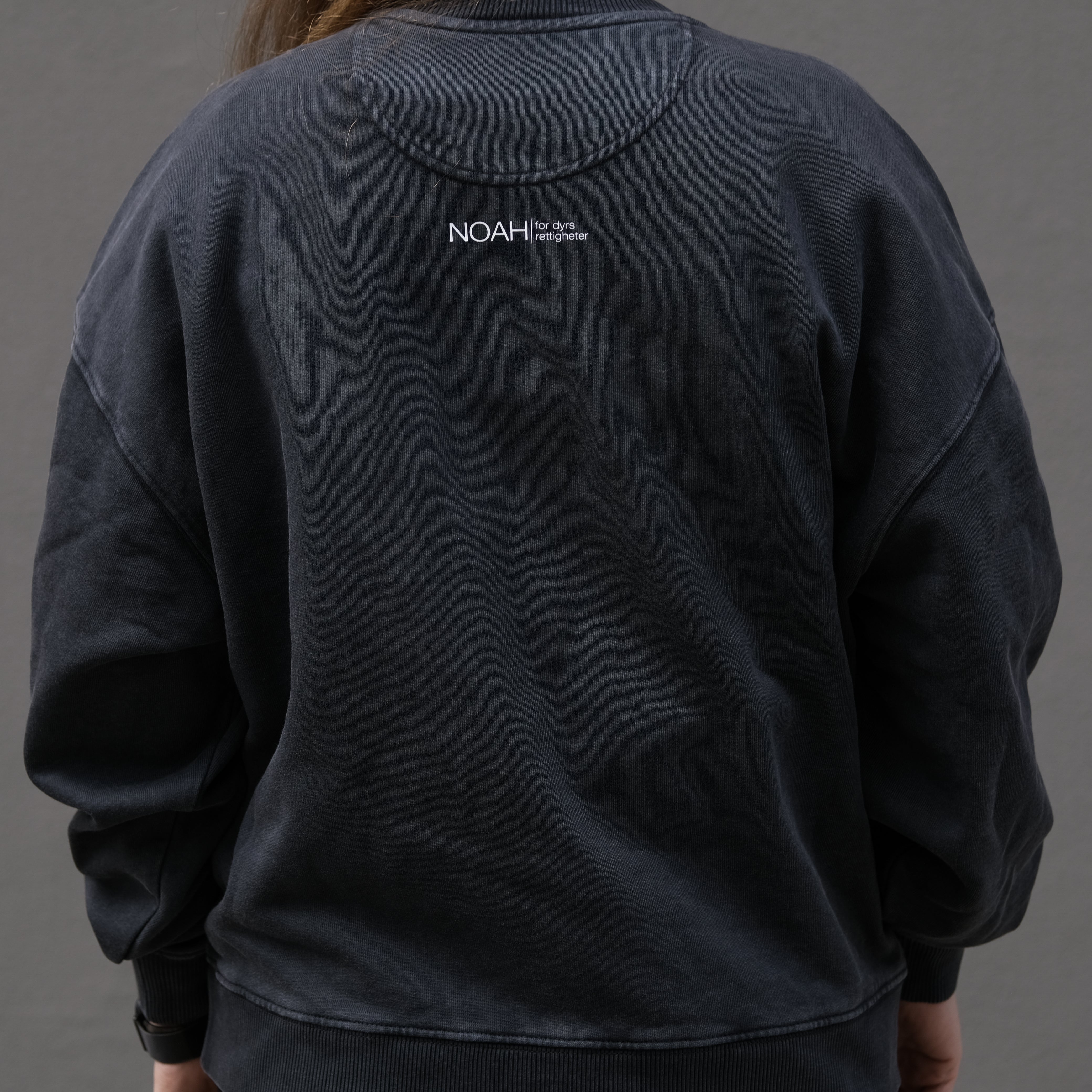 Genser ulv - canis lupus