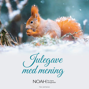Julegave med mening Digitalt & fysisk