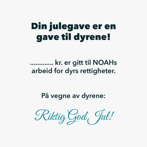 Julegave med mening Digitalt & fysisk