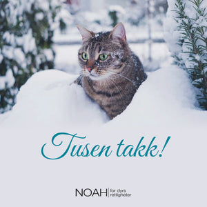 Julegave med mening Digitalt & fysisk
