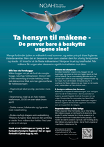 Last inn bildet i Galleri-visningsprogrammet, Plakater
