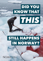 Last inn bildet i Galleri-visningsprogrammet, Plakater
