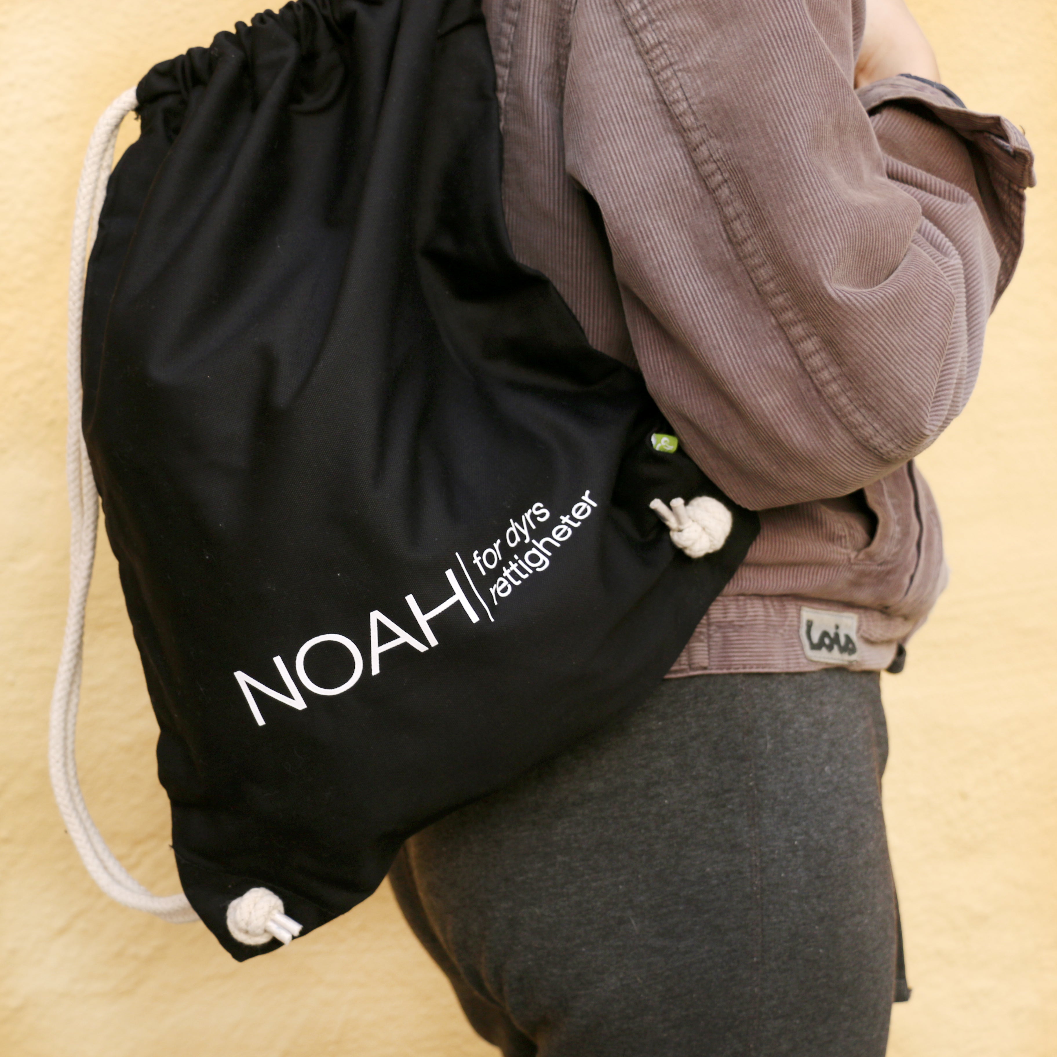 Ryggsekk NOAH (flere farger)