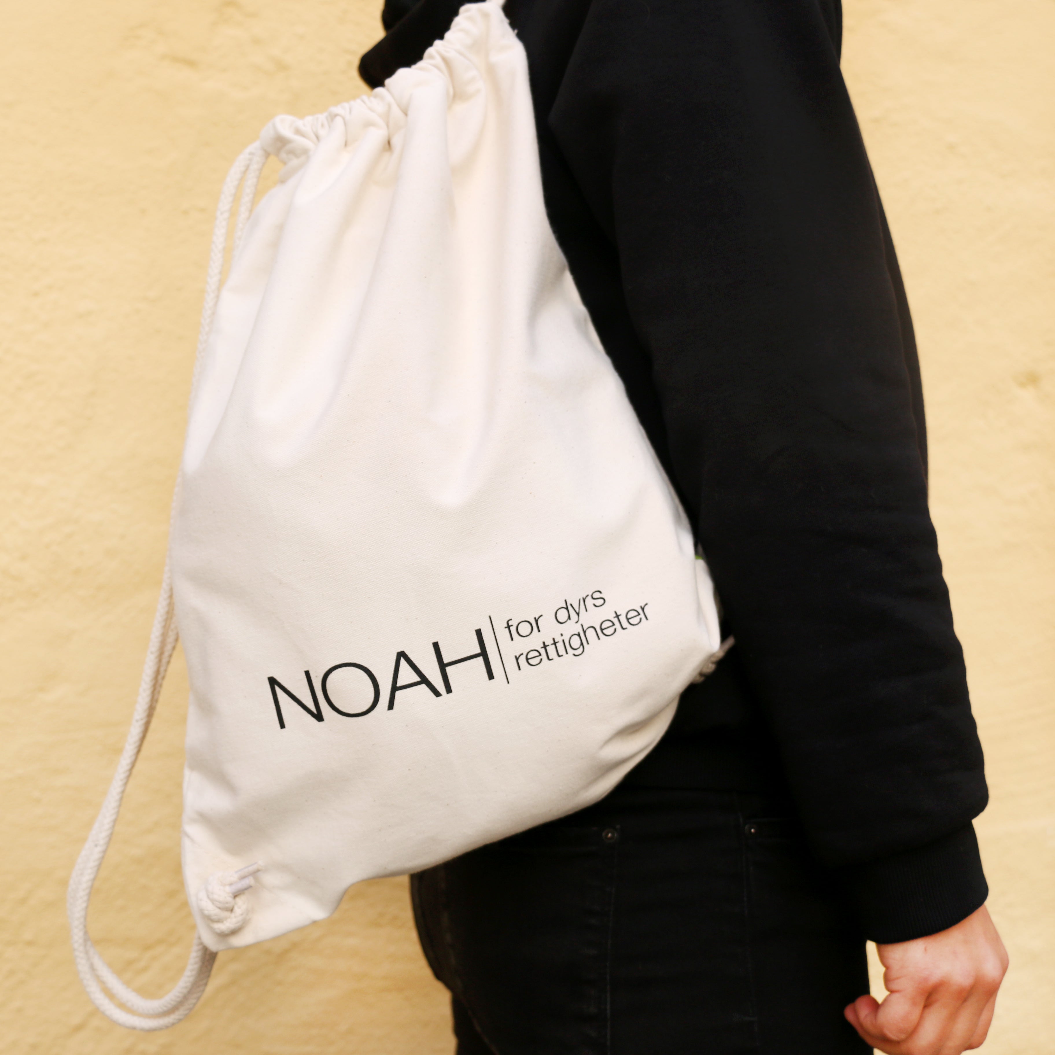 Ryggsekk NOAH (flere farger)