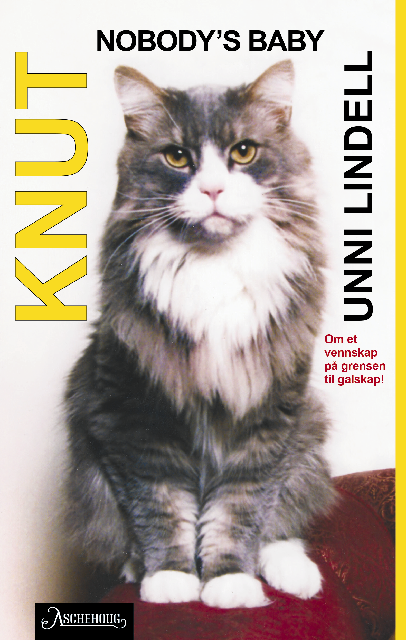 KNUT - Nobody´s baby