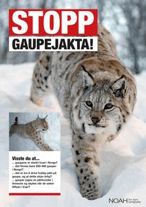 Plakater