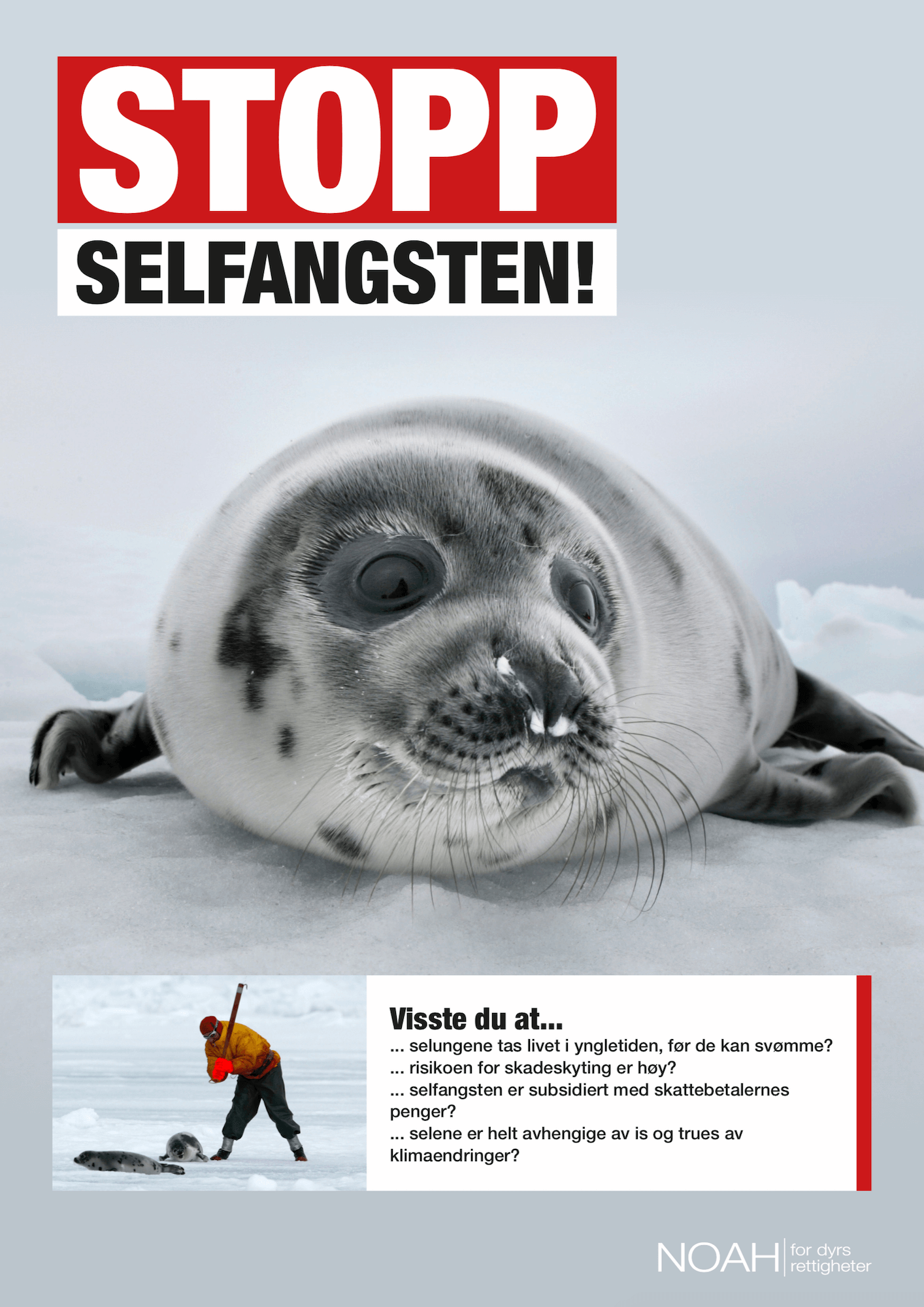 Plakater