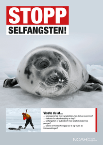 Plakater