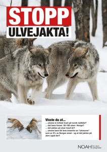 Plakater