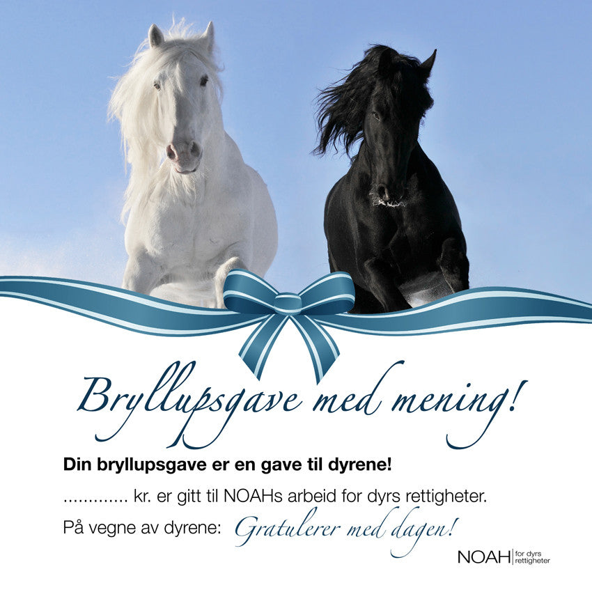 Bryllupsgavekort med bilde av en hvit og en svart hest på blå bakgrunn.