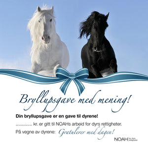 Bryllupsgavekort med bilde av en hvit og en svart hest på blå bakgrunn.