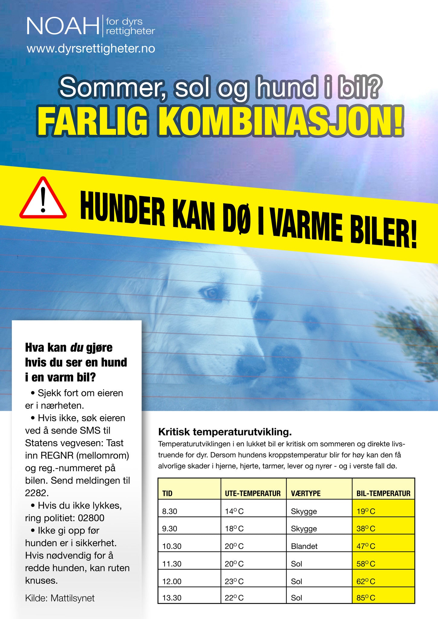 Plakater