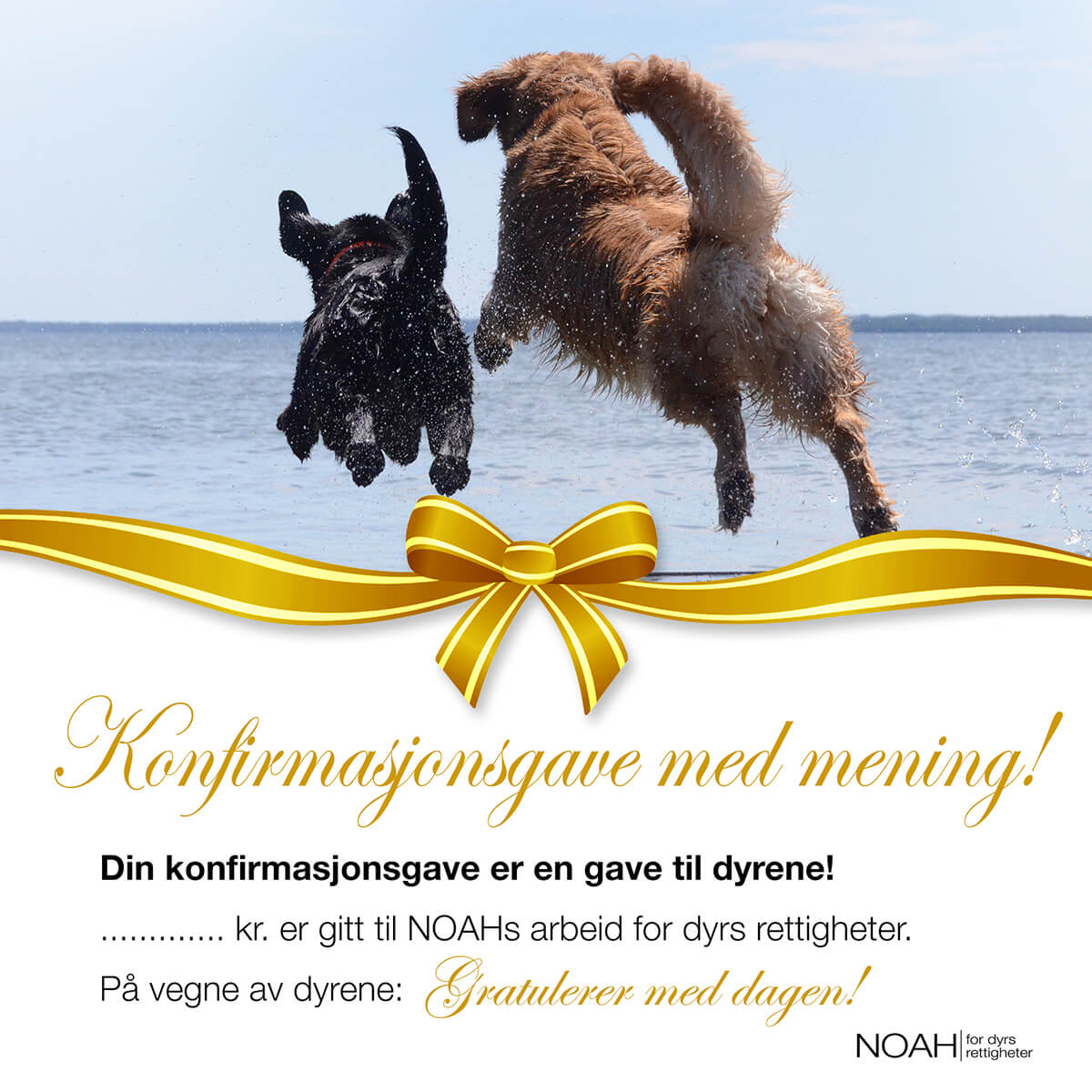 Konfirmasjonsgave med mening!