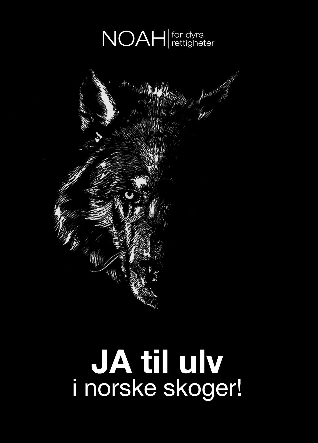 Kort ulveansikt