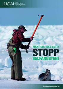 Plakater