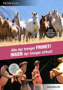 Plakater