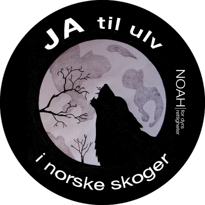 Button: Ulv og måne